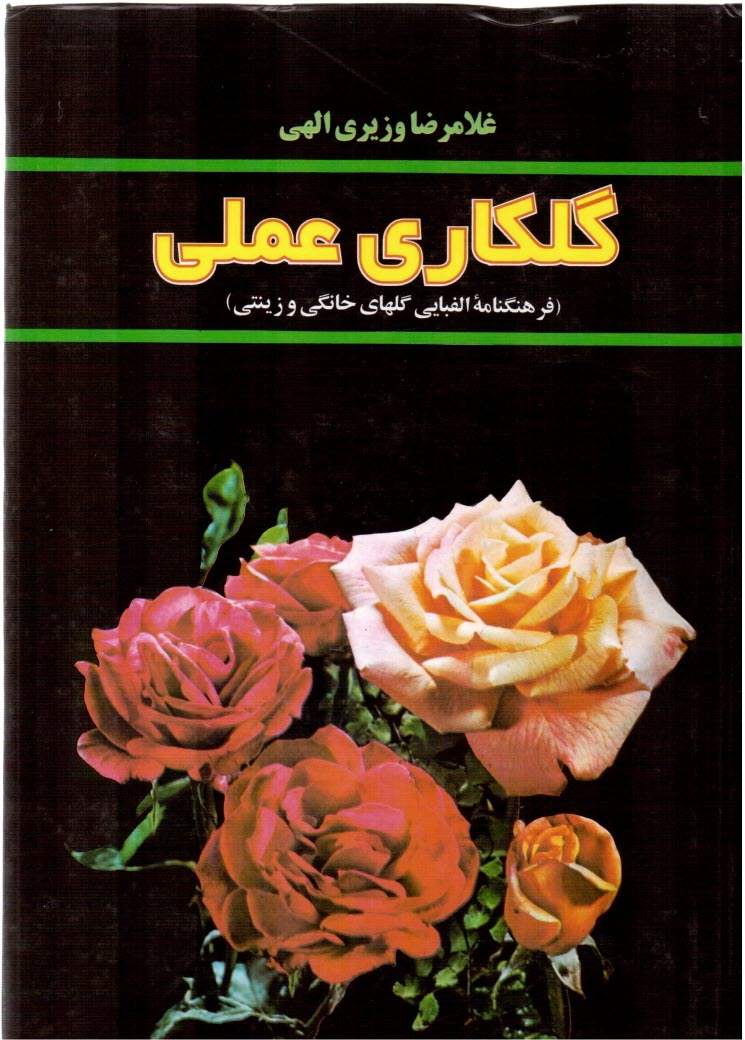 www.payane.ir - گلکاری عملی (فرهنگنامه الفبایی گلهای خانگی و زینتی)