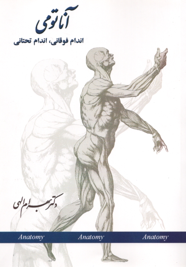 www.payane.ir - آناتومی اندام فوقانی، اندام تحتانی