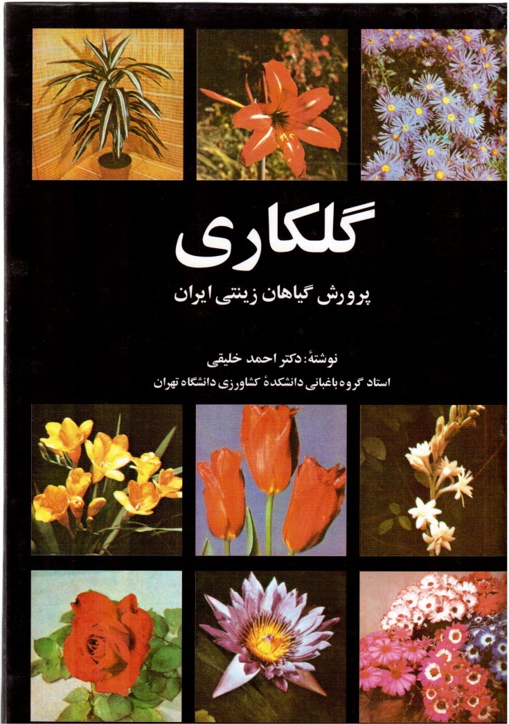 www.payane.ir - گلکاری: پرورش گیاهان زینتی ایران