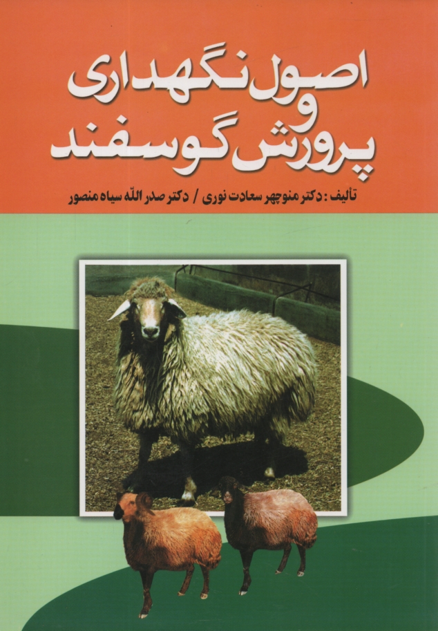 www.payane.ir - اصول نگهداری و پرورش گوسفند