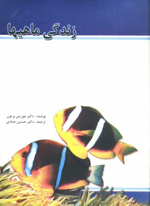 www.payane.ir - زندگی ماهی ها