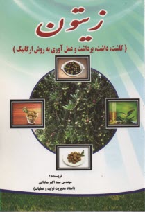 www.payane.ir - زیتون (کاشت، داشت، برداشت و فرآوری)
