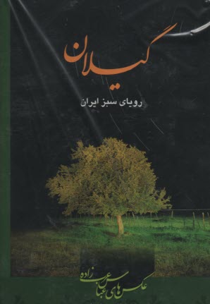 www.payane.ir - گیلان رویای سبز ایران