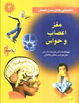 www.payane.ir - دانستنی های بدن انسان: مغز و اعصاب و حواس
