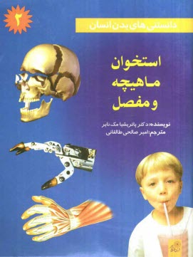 www.payane.ir - دانستنی های بدن انسان: استخوان ماهیچه و مفصل