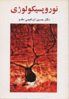 www.payane.ir - نوروپسیکولوژی