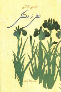 www.payane.ir - خطی ز دلتنگی (مجموعه شعر)