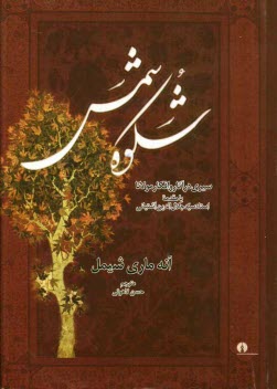 www.payane.ir - شکوه شمس: سیری در آثار و افکار مولانا جلال الدین رومی