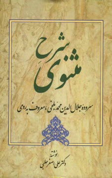 www.payane.ir - شرح مثنوی