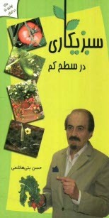 www.payane.ir - سبزیکاری در سطح کم
