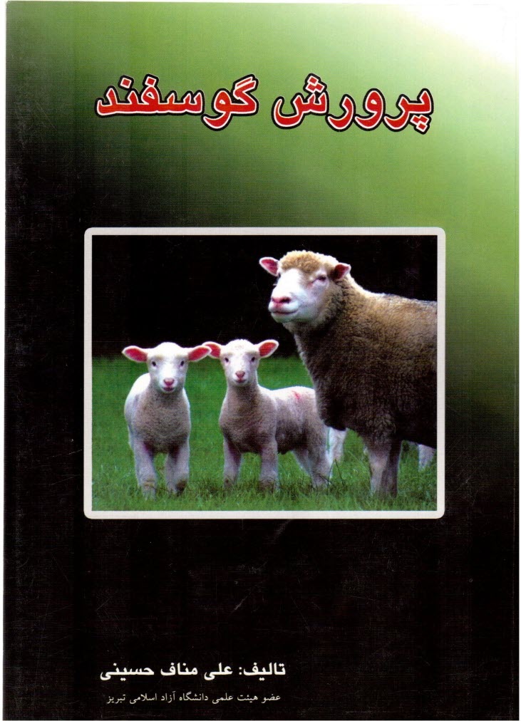 www.payane.ir - پرورش گوسفند، مناف حسینی، آشینا