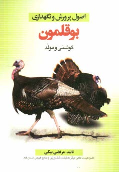 www.payane.ir - اصول پرورش و نگهداری بوقلمون: گوشتی و مولد