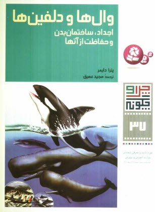 www.payane.ir - وال ها و دلفین ها: اجداد، ساختمان بدن و حفاظت از آنها