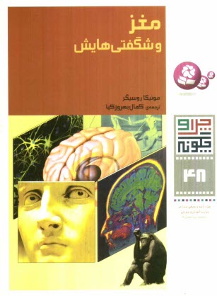 www.payane.ir - مغز و شگفتی هایش