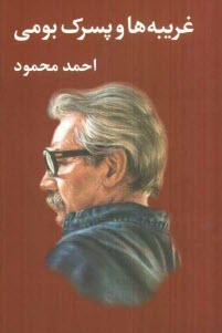 www.payane.ir - غریبه ها و پسرک بومی