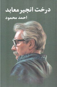 www.payane.ir - درخت انجیر معابد