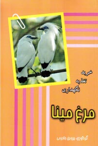 www.payane.ir - مرغ مینا: خرید تغذیه نگهداری
