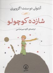 www.payane.ir - شازده کوچولو