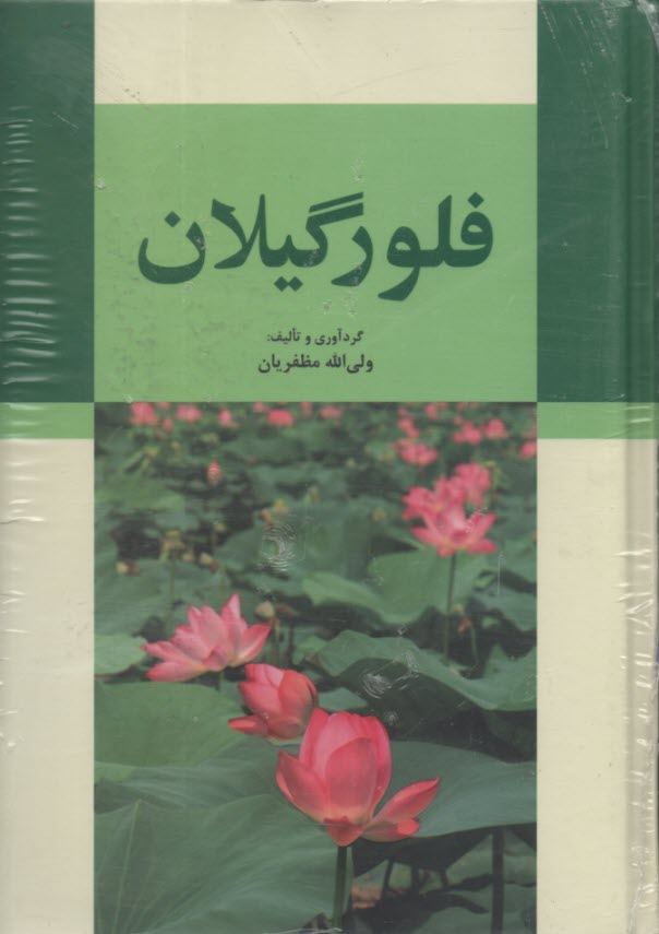 www.payane.ir - فلور گیلان