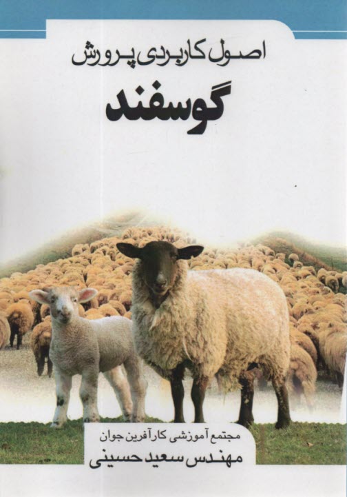 www.payane.ir - اصول کاربردی پرورش گوسفند