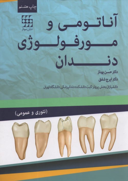 www.payane.ir - آناتومی و مورفولوژی دندان