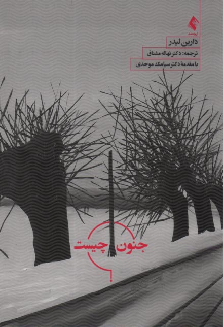 www.payane.ir - جنون چیست