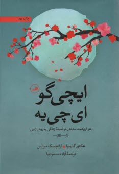 www.payane.ir - ایچی گو ای چی یه
