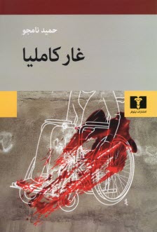 www.payane.ir - غار کاملیا