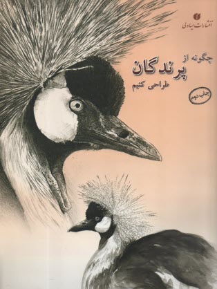www.payane.ir - چگونه از پرندگان طراحی کنیم