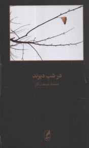 www.payane.ir - در شب دیرند