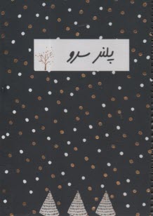 www.payane.ir - پلنر سرو
