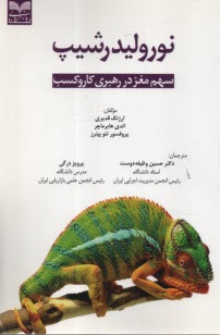 www.payane.ir - نورولیدرشیپ: سهم مغز در رهبری کار و کسب