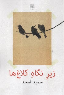 www.payane.ir - زیر نگاه کلاغ ها