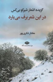 www.payane.ir - در این شعر برف می بارد: گزیده اشعار شیرکو بی کس