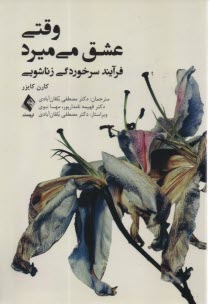 www.payane.ir - وقتی عشق می میرد: فرآیند سرخوردگی زناشویی