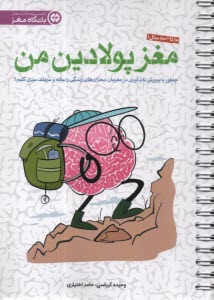 www.payane.ir - مغز پولادین من: چطور با پرورش تاب آوری در مغزمان بحران های زندگی را سالم و سربلند سپری کنیم؟