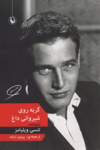 www.payane.ir - گربه روی شیروانی داغ