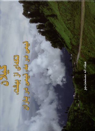 www.payane.ir - بید بی لیلا