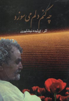 www.payane.ir - چه کنم دلم می سوزد