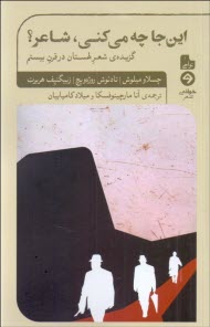 www.payane.ir - این جا چه می کنی شاعر؟: گزیده ی شعر لهستان