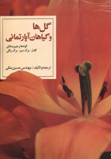 www.payane.ir - گل ها و گیاهان آپارتمانی: گونه ها و هیبریدهای گلدار، برگ سبز، برگ رنگی