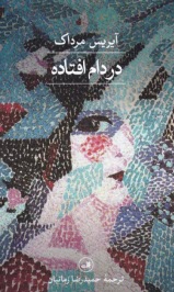 www.payane.ir - در دام افتاده
