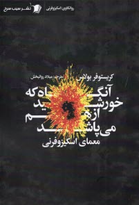 www.payane.ir - آنگاه که خورشید از هم می پاشد معمای اسکیزوفرنی