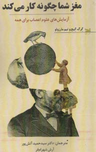 www.payane.ir - مغز شما چگونه کار می کند:آزمایش های علوم اعصاب برای همه