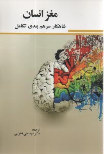 www.payane.ir - مغز انسان:  شاهکار سرهم بندی  تکامل